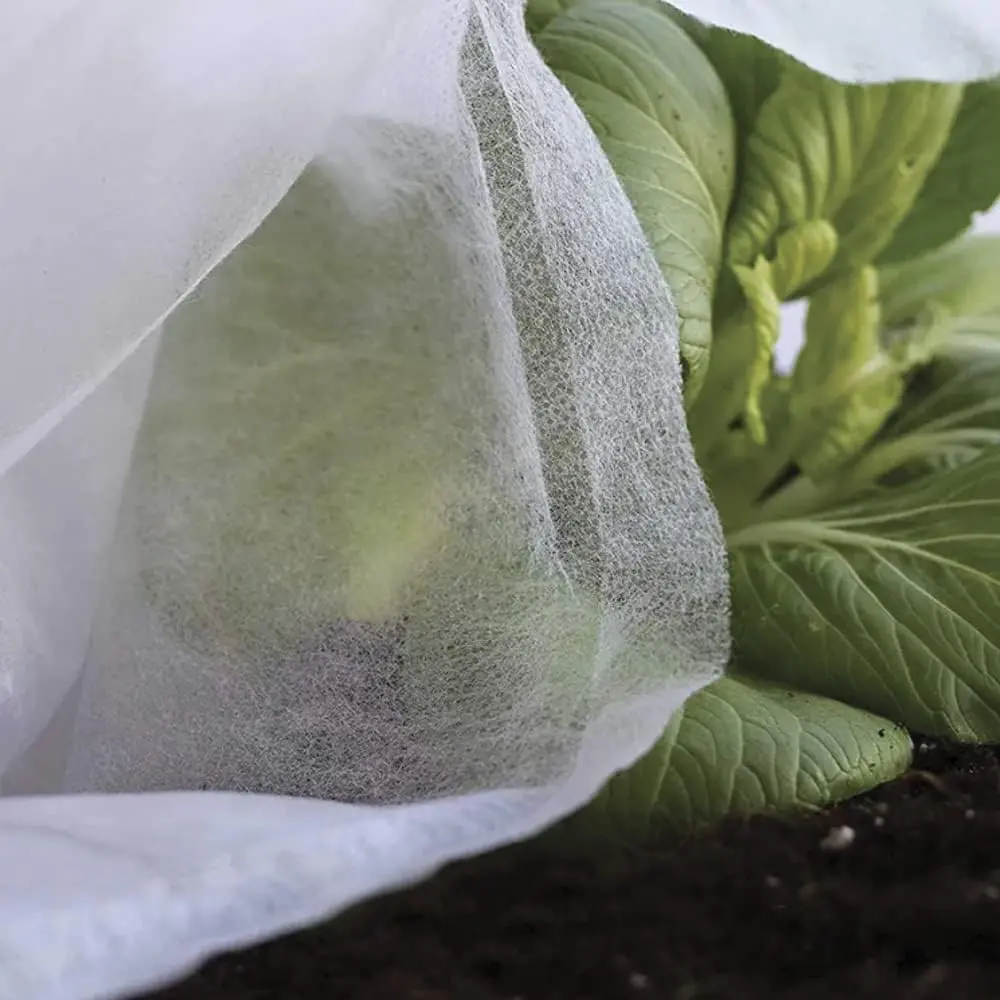 Manta térmica anti-geada Biotop 2x10 m para proteger plantas e vasos